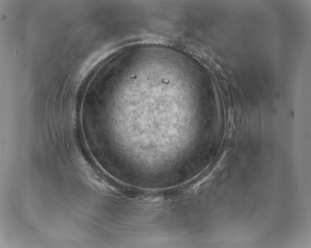 X0000088650247200706081645