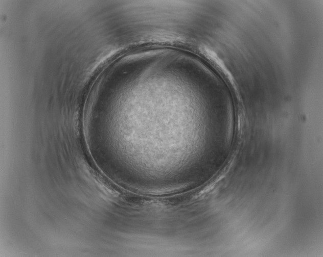 X0000088650249200706081645