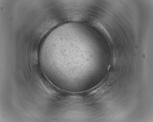 X0000088650251200706081645