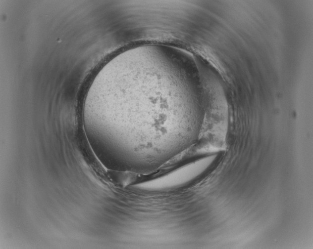 X0000088650252200706081645