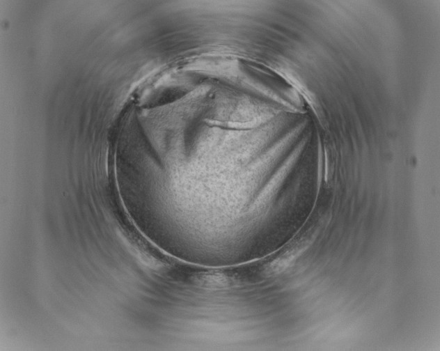 X0000088650253200706081645