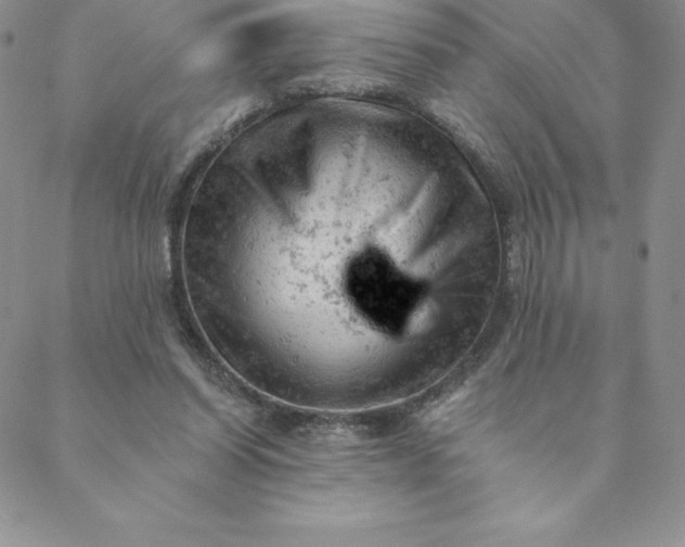 X0000088650254200706081645