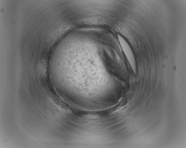 X0000088650255200706081645