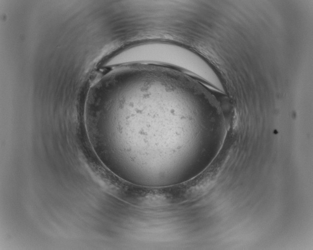 X0000088650256200706081645