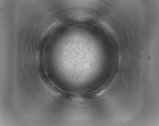 X0000088650258200706081645