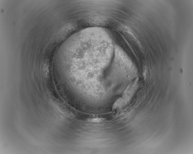 X0000088650259200706081645