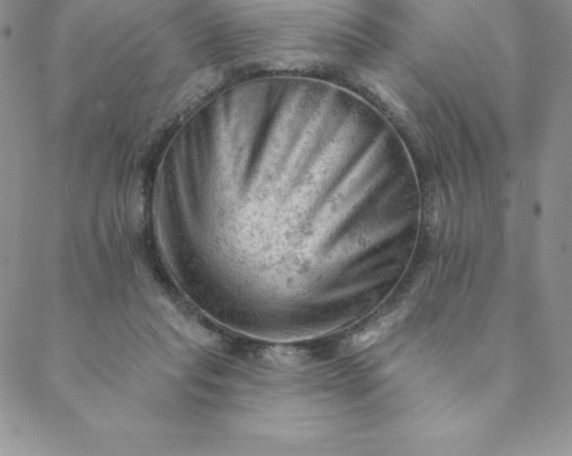 X0000088650261200706081645