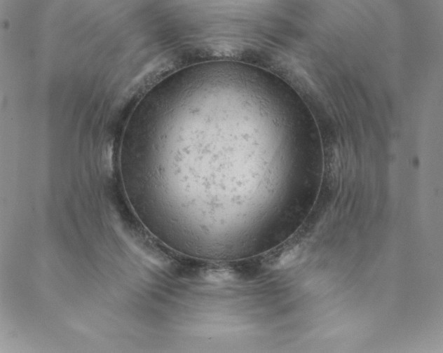 X0000088650262200706081645