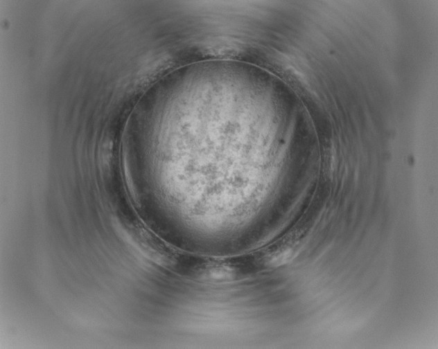 X0000088650263200706081645