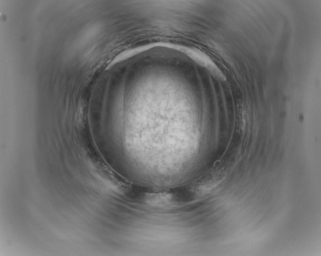 X0000088650266200706081645