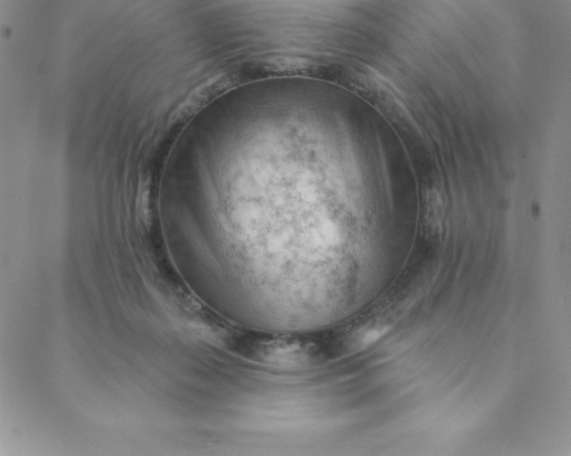 X0000088650267200706081645