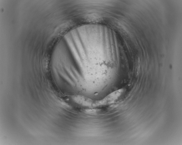 X0000088650268200706081645