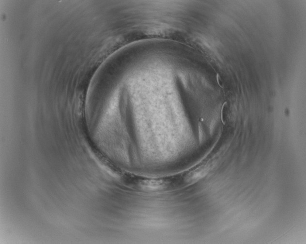 X0000088650273200706081645