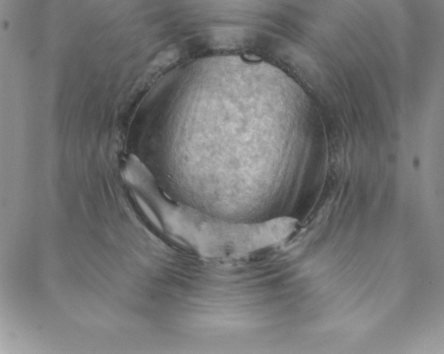 X0000088650277200706081645