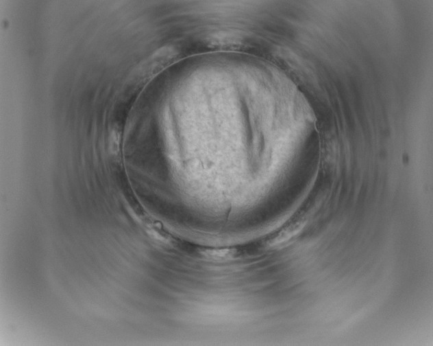 X0000088650281200706081645