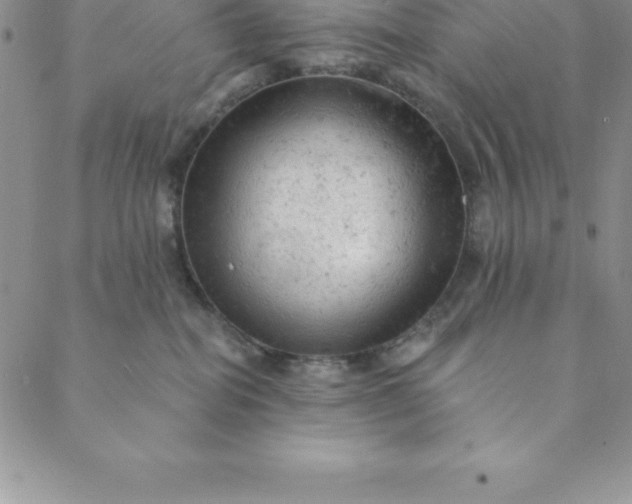 X0000088650282200706081645