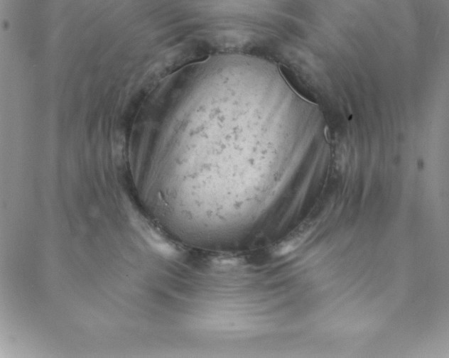 X0000088650283200706081645