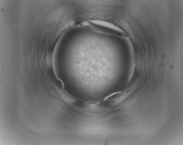 X0000088650285200706081645