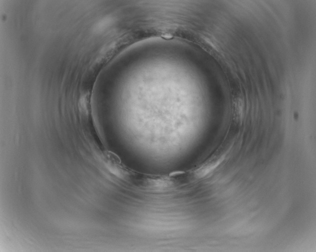 X0000088650286200706081645