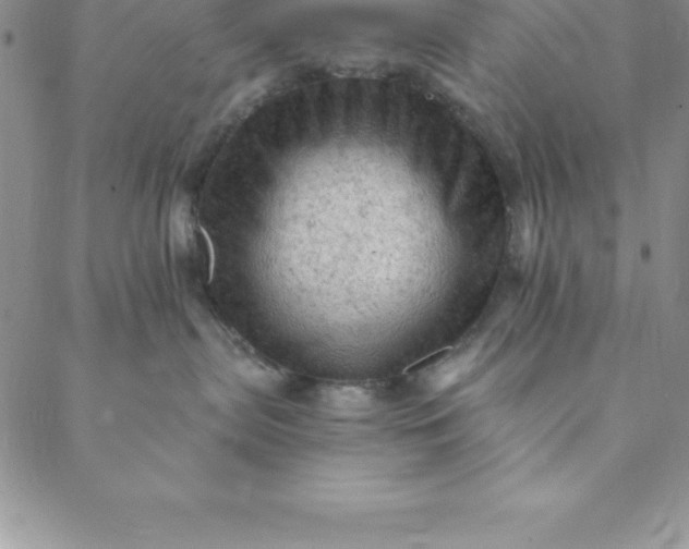 X0000088650287200706081645