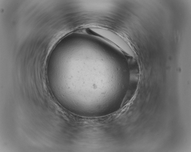 X0000088650289200706081644