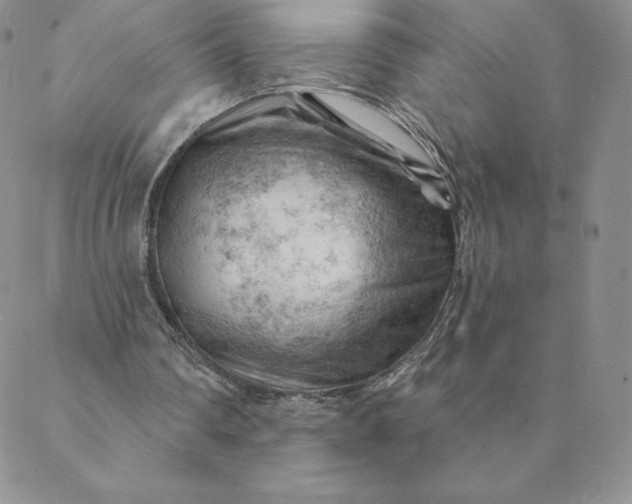 X0000088650290200706081644