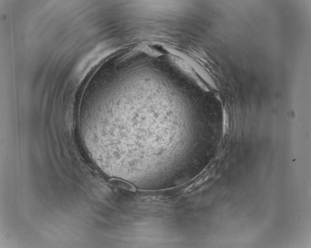 X0000088650291200706081644