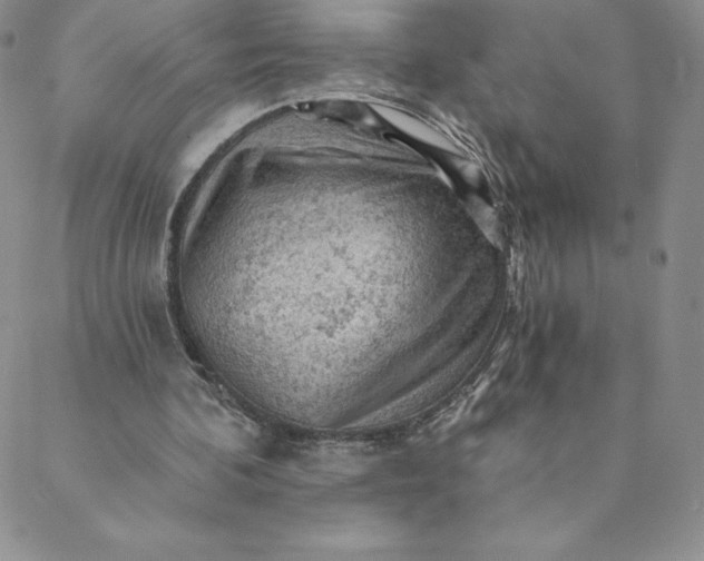 X0000088650292200706081644