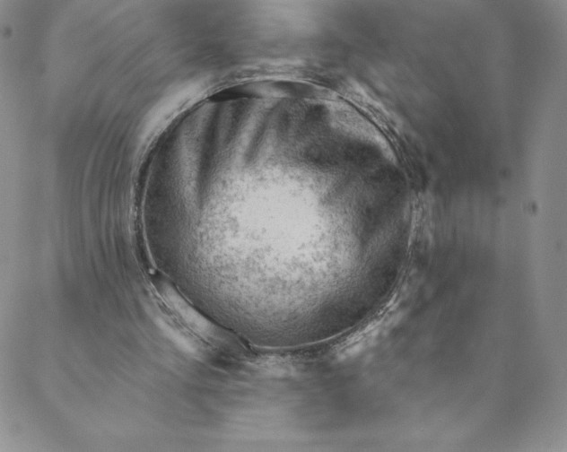 X0000088650293200706081644