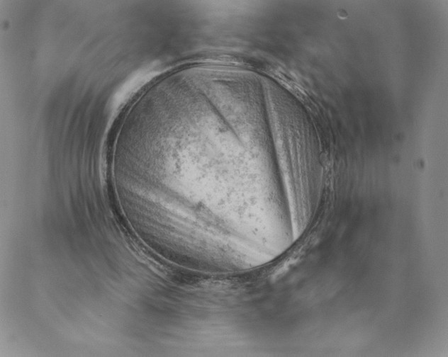 X0000088650294200706081644