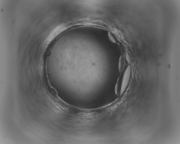 X0000088650295200706081644