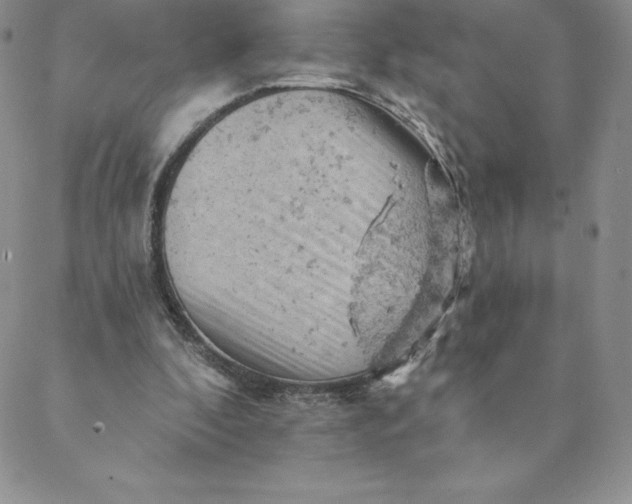 X0000088650296200706081644