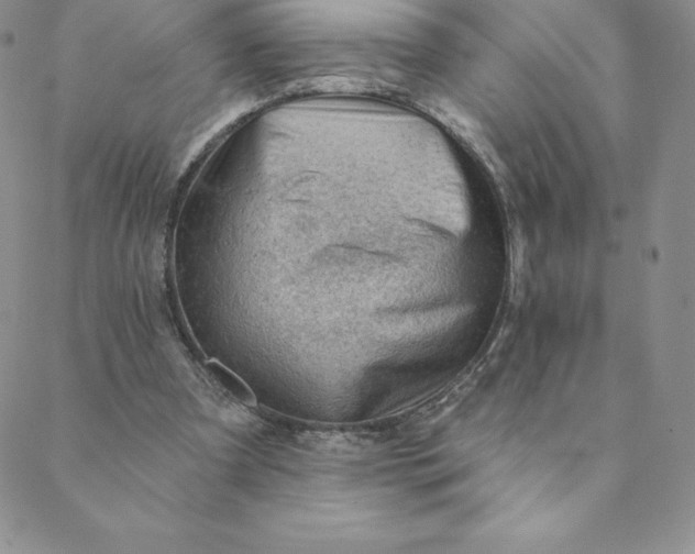 X0000088650297200706081644