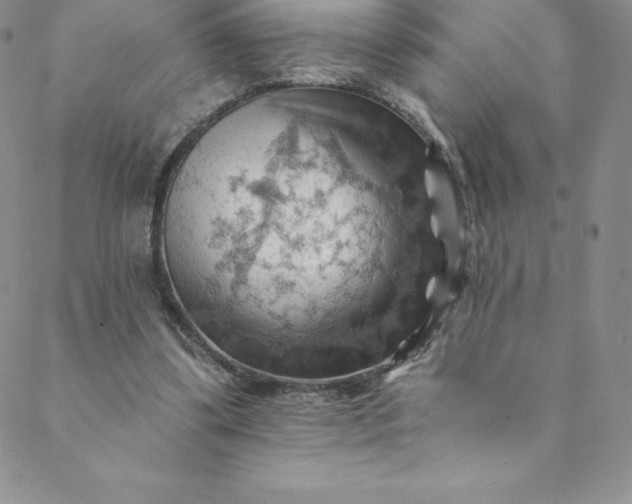 X0000088650299200706081644