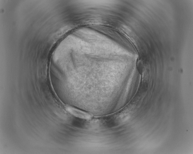 X0000088650301200706081644