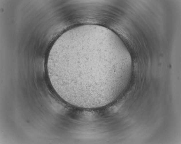 X0000088650302200706081644