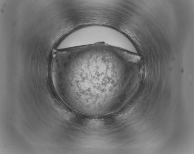 X0000088650303200706081644