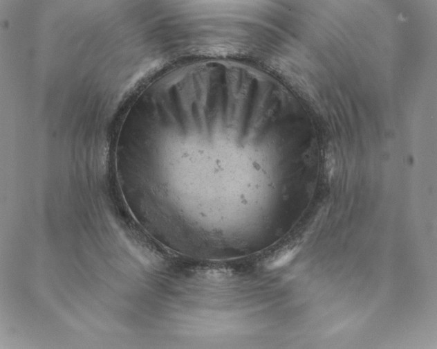 X0000088650304200706081644