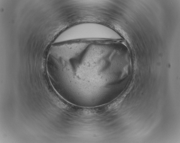 X0000088650305200706081644