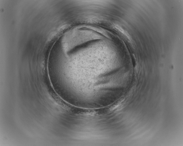 X0000088650306200706081644