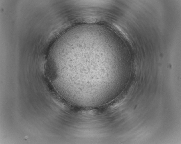 X0000088650307200706081644