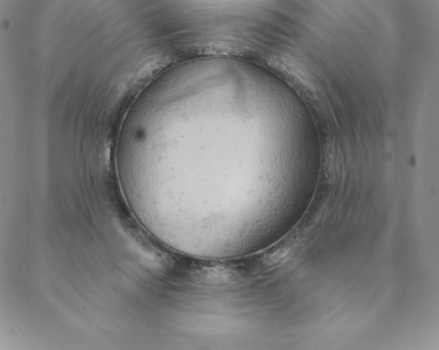 X0000088650310200706081644