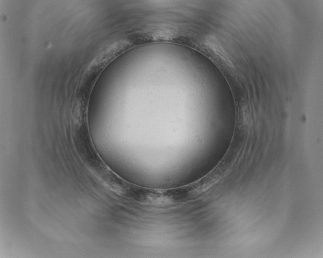 X0000088650311200706081644