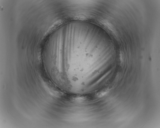 X0000088650312200706081644