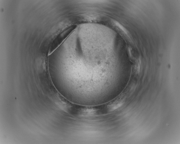 X0000088650313200706081644