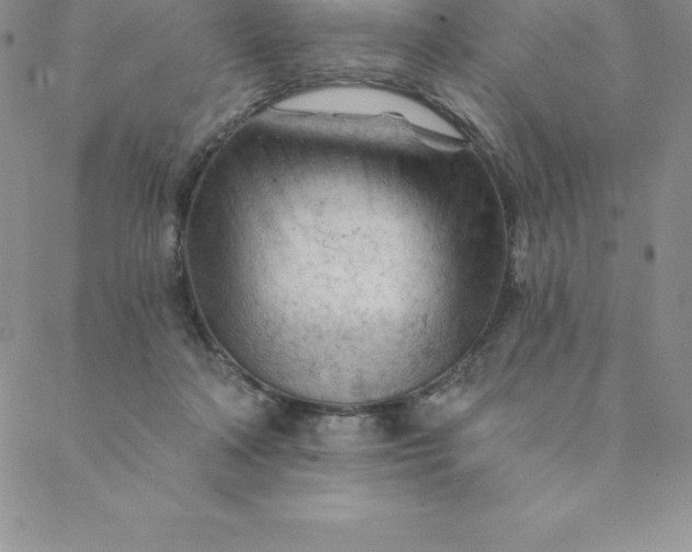 X0000088650314200706081644