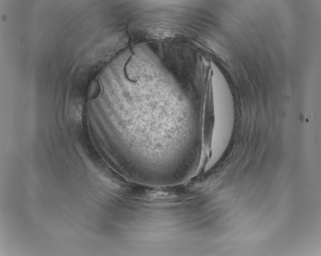 X0000088650315200706081644