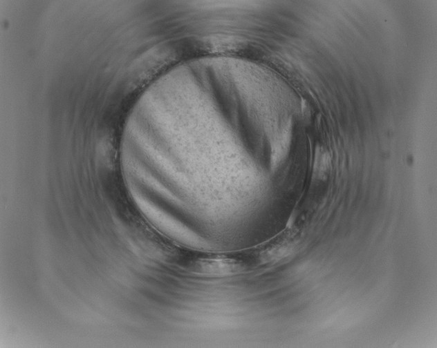 X0000088650316200706081644