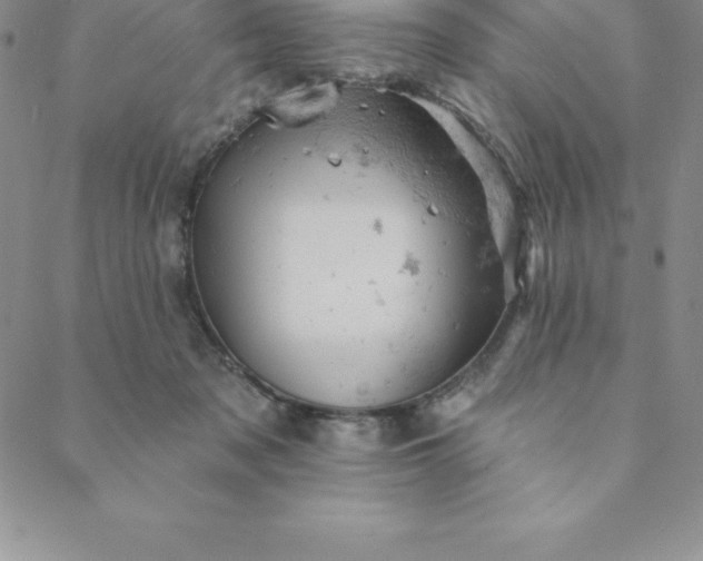 X0000088650317200706081644