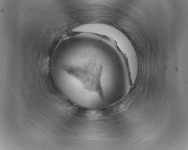 X0000088650319200706081644